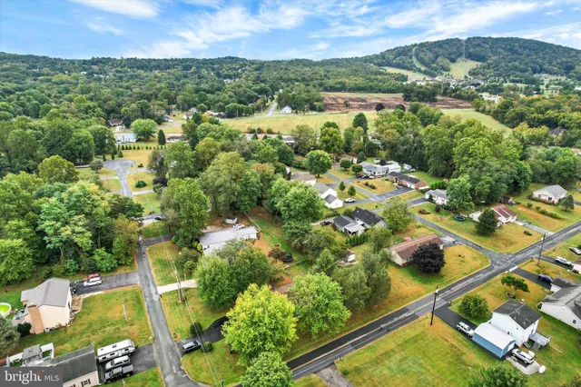 an aerial view of residential houses with outdoor space and trees