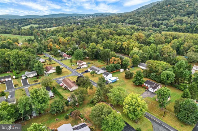 an aerial view of residential houses with outdoor space and trees