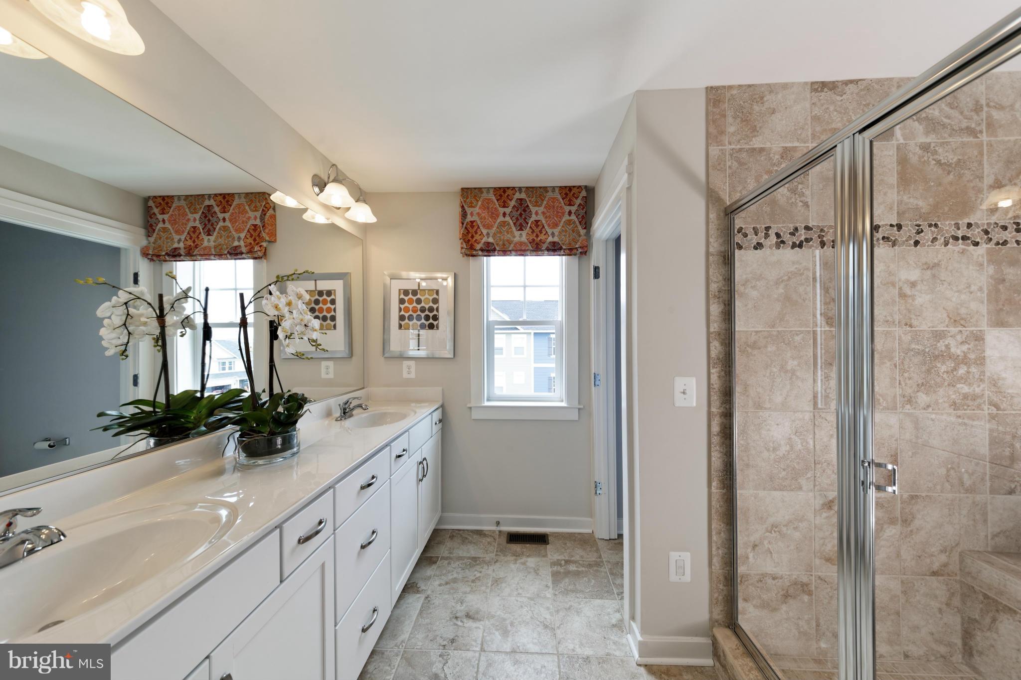 115 Splendor Garden Way Stephenson, VA 22656 - Photo 8 of 18 Bath (Master)