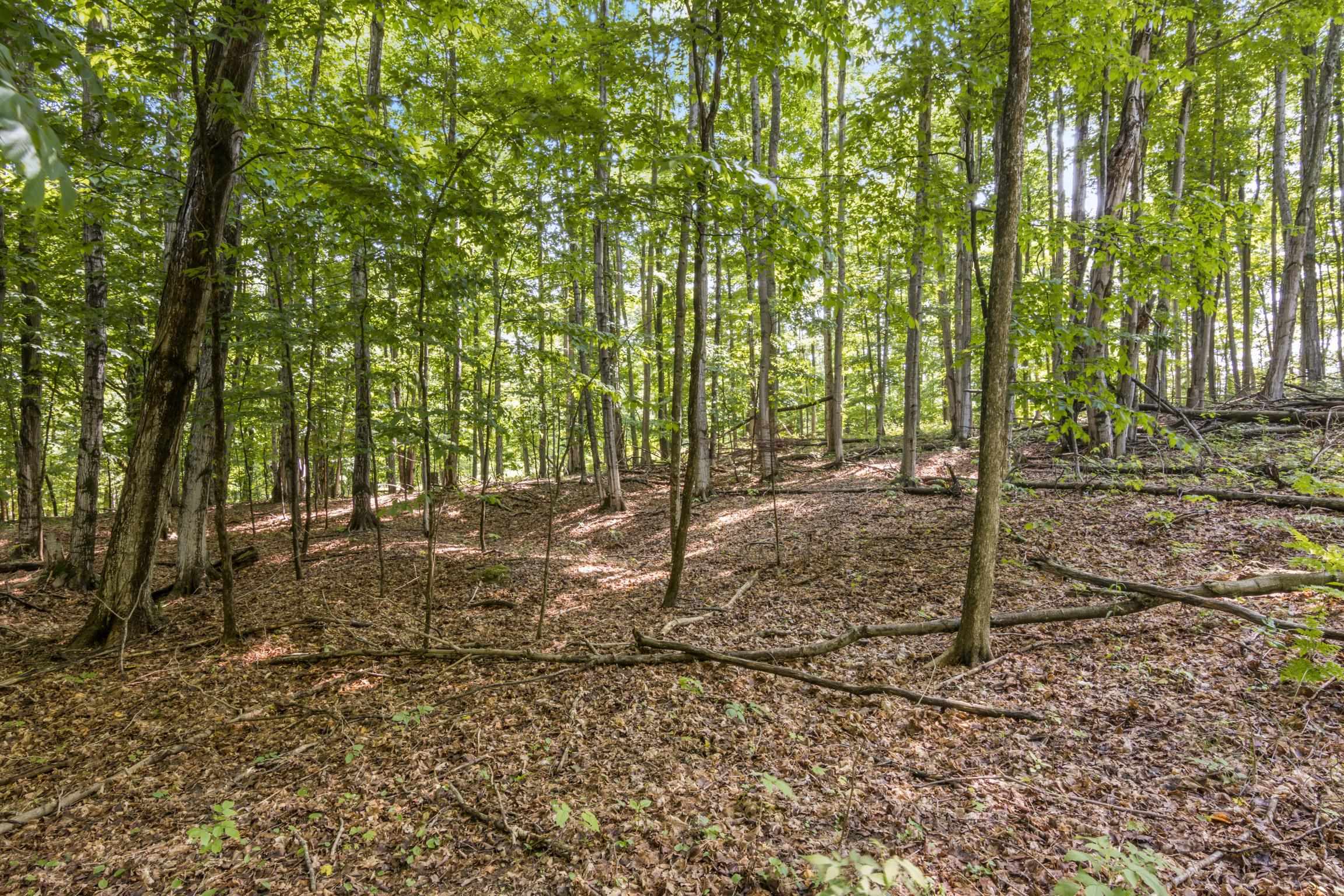 Rex Beach Road Ellsworth, MI 49729 - Photo 23 of 31 Gallery Image 23