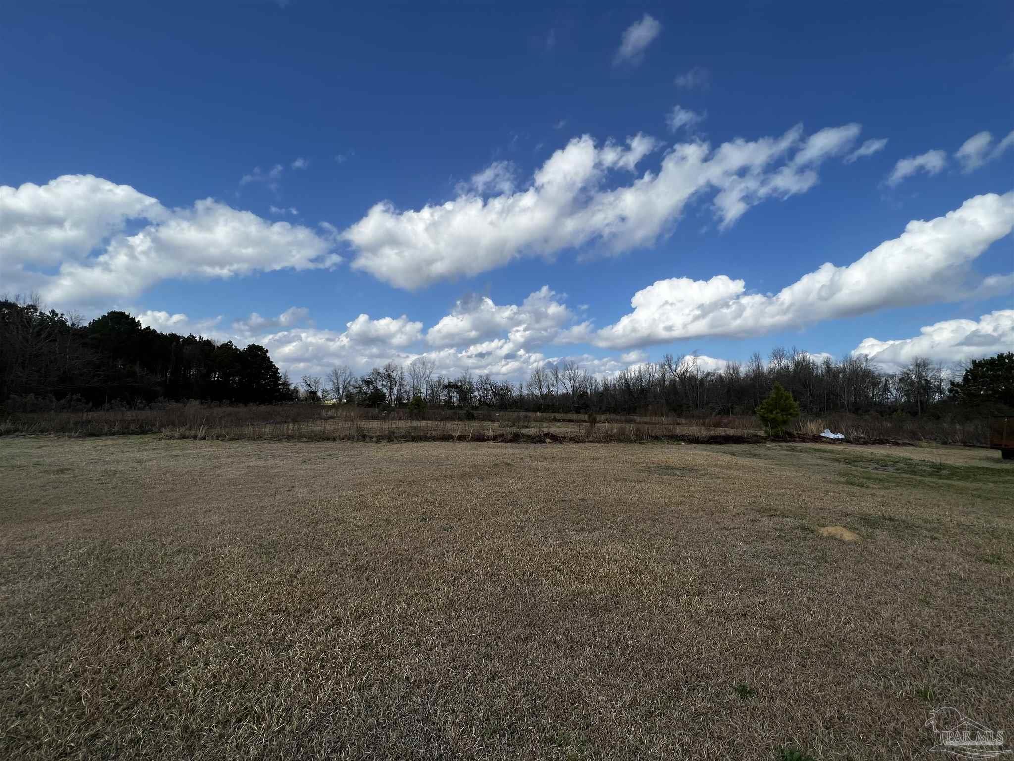 6584 Will Jones Road Jay, FL 32565 - Photo 48 of 49