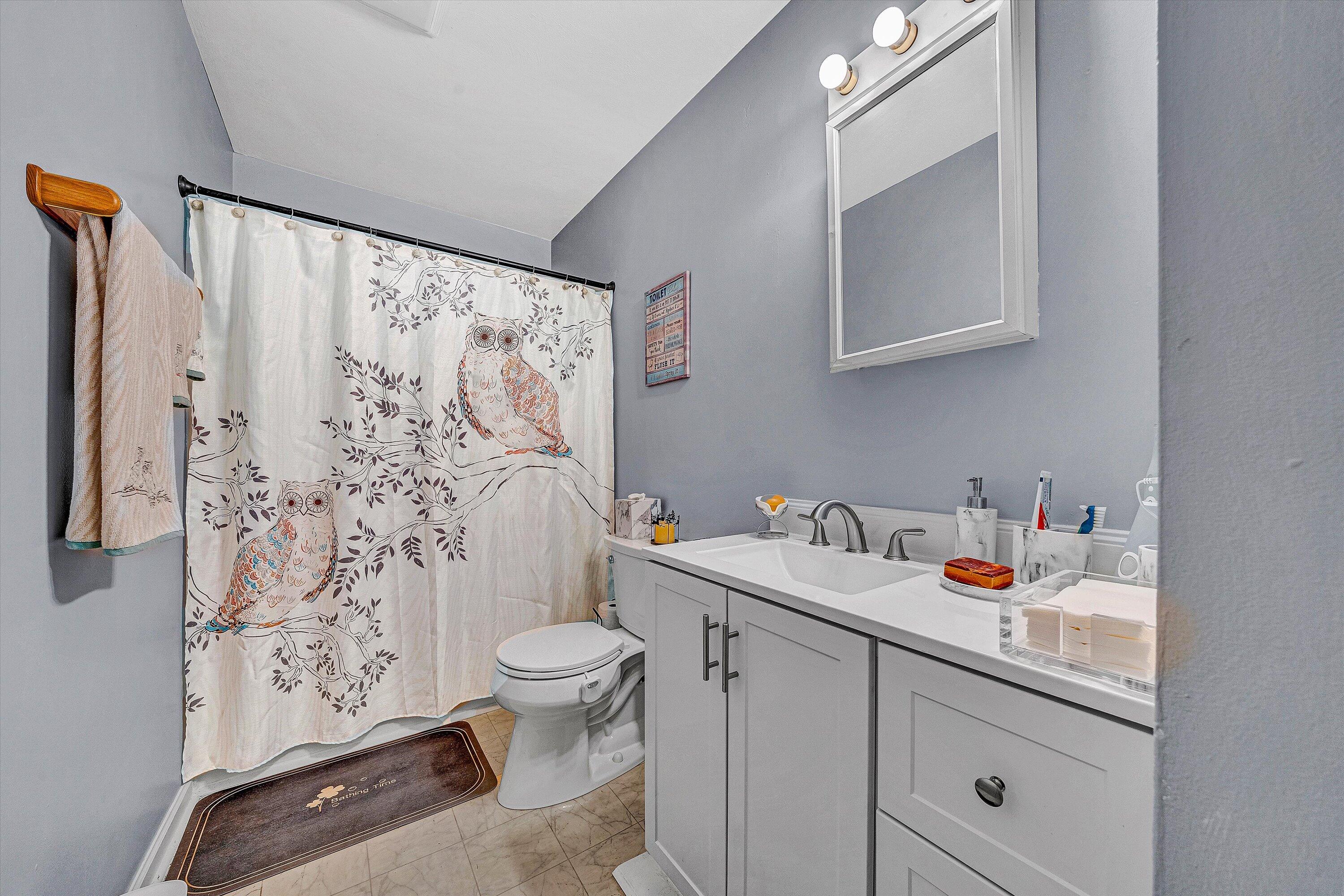 117 Country Lane Thaxton, VA 24174 - Photo 14 of 35 a bathroom with a sink toilet and shower