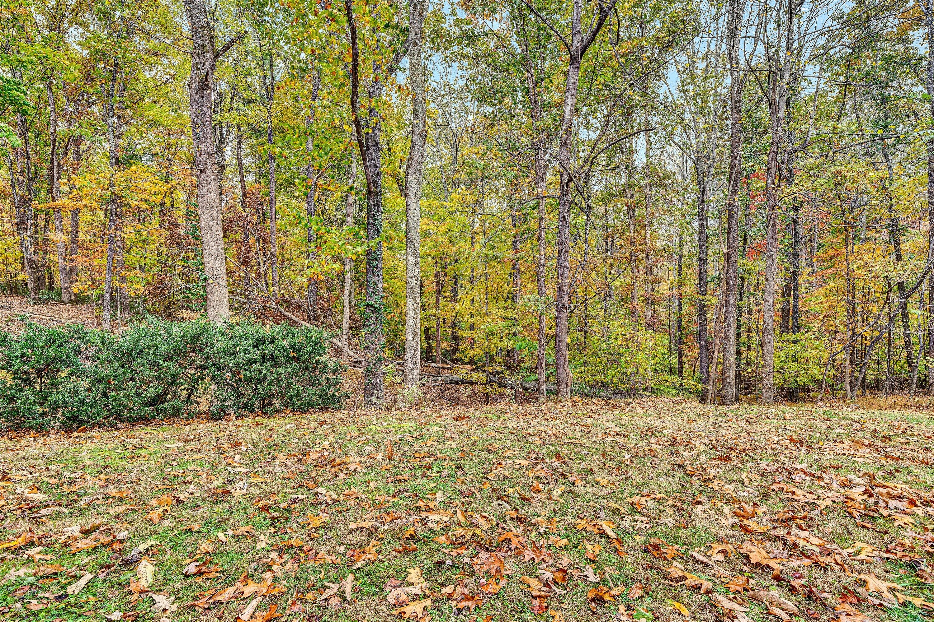 117 Country Lane Thaxton, VA 24174 - Photo 32 of 35