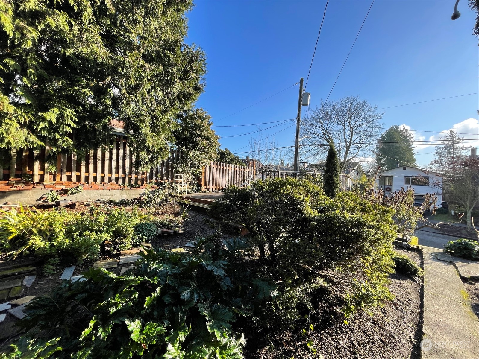 4202 Phinney Avenue North Seattle, WA 98103 - Photo 5 of 14 a view of a garden with houses