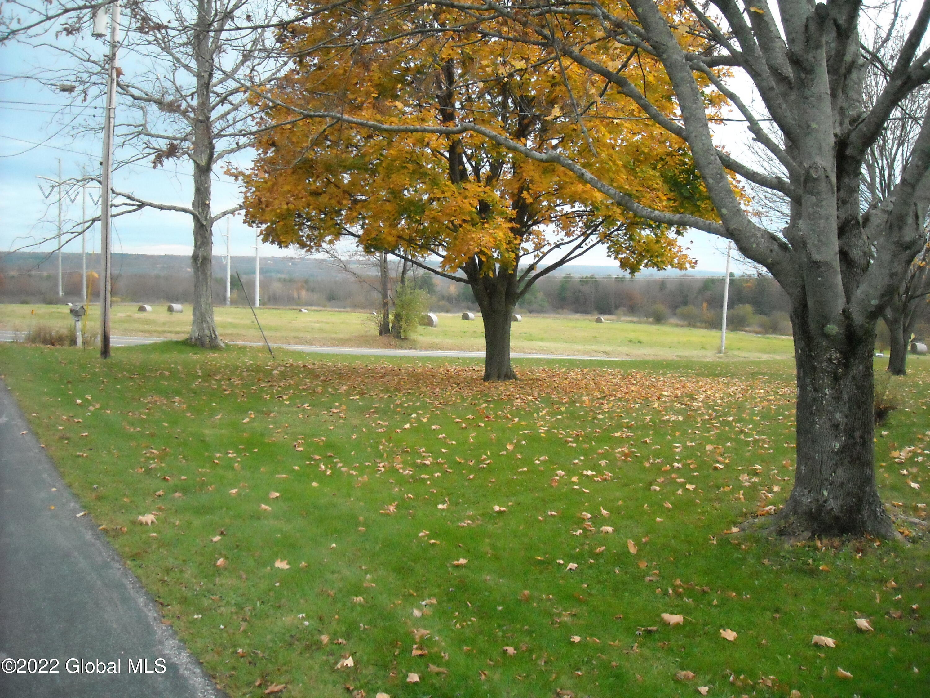 964 Scotch Ridge Road Princetown, NY 12306 - Photo 88 of 95 079 DSCN9710