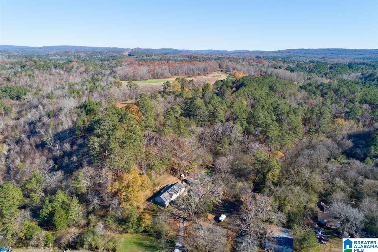 7235 Comer Dairy Road Morris, AL 35116 - Photo 33 of 37