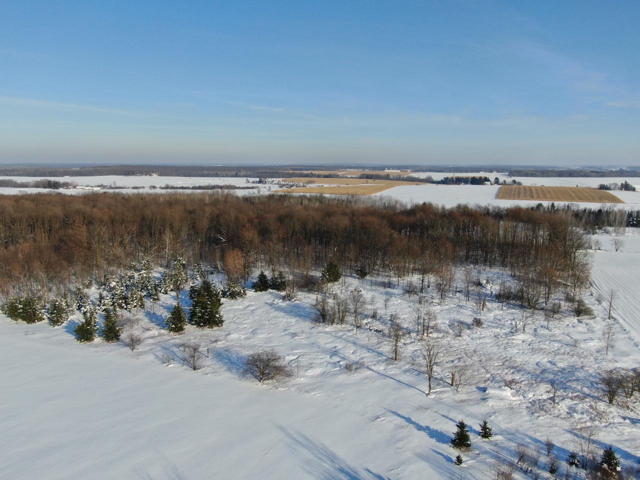 Tbd Bungaloo Road Athens, WI 54411 - Photo 5 of 49 Gallery Image 5
