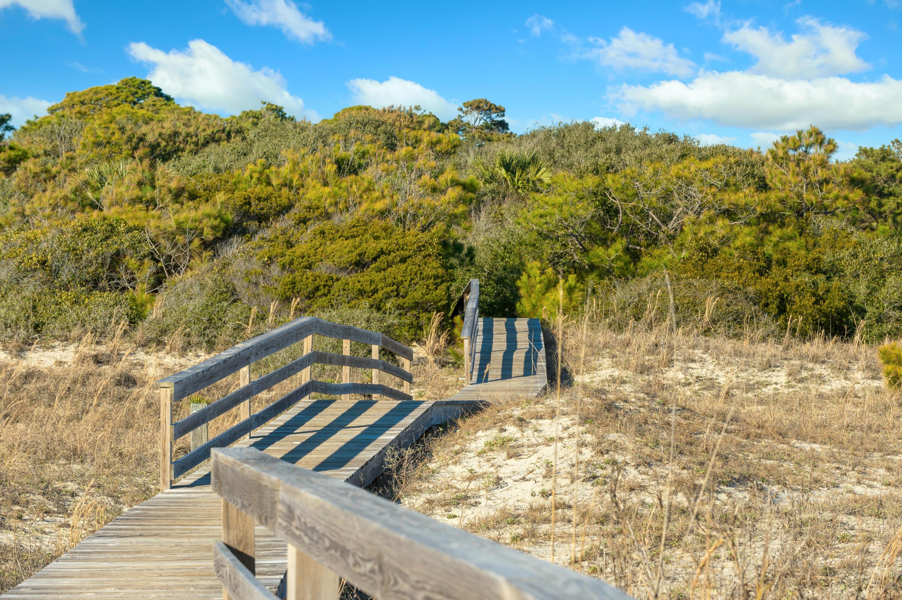 65 Surfsong Road Kiawah Island, SC 29455 - Photo 11 of 110 65 Surfsong_Low Res-32