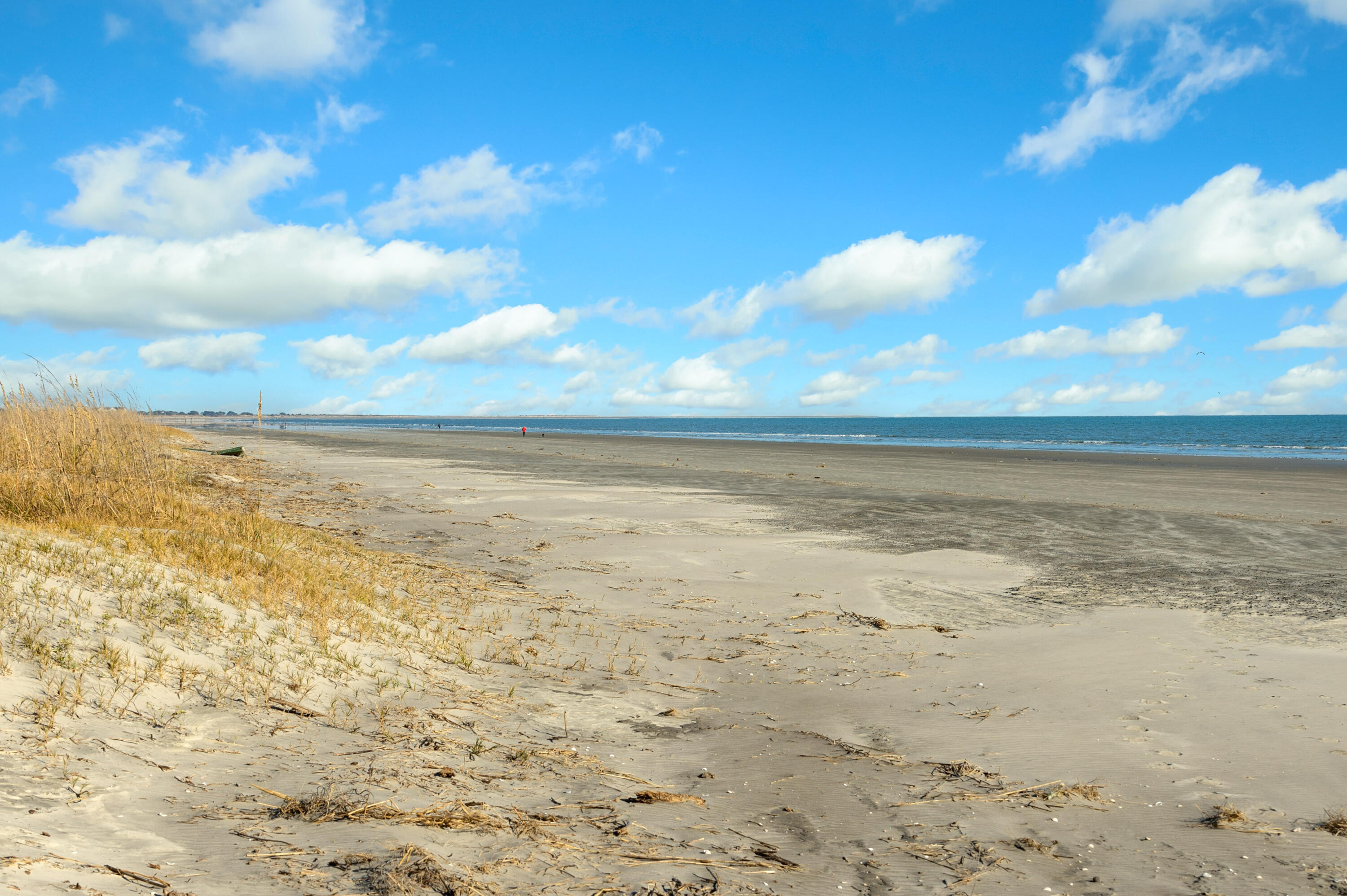 65 Surfsong Road Kiawah Island, SC 29455 - Photo 12 of 110 65 Surfsong_Low Res-33