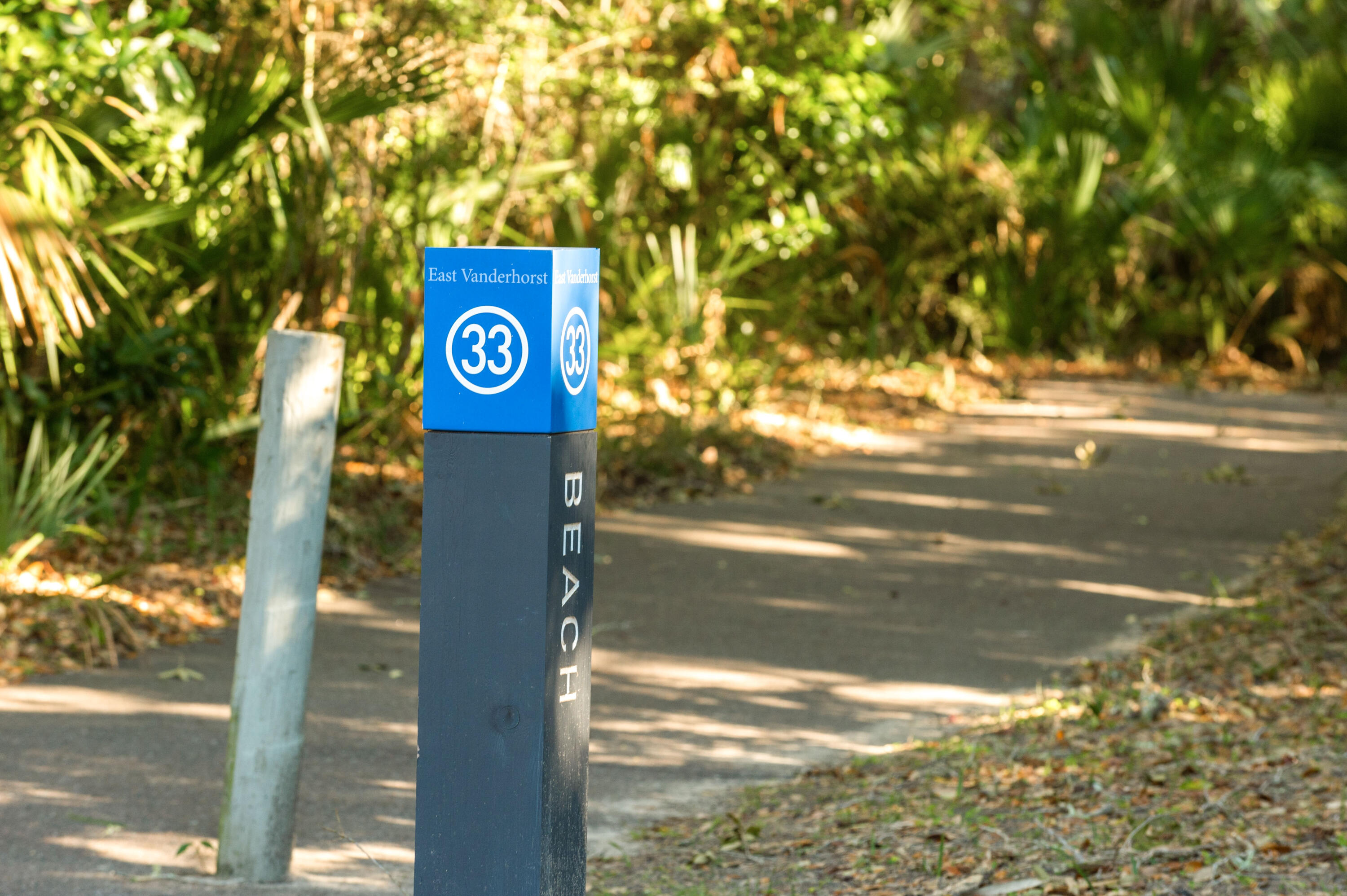 65 Surfsong Road Kiawah Island, SC 29455 - Photo 8 of 110 65 Surfsong_Low Res-29