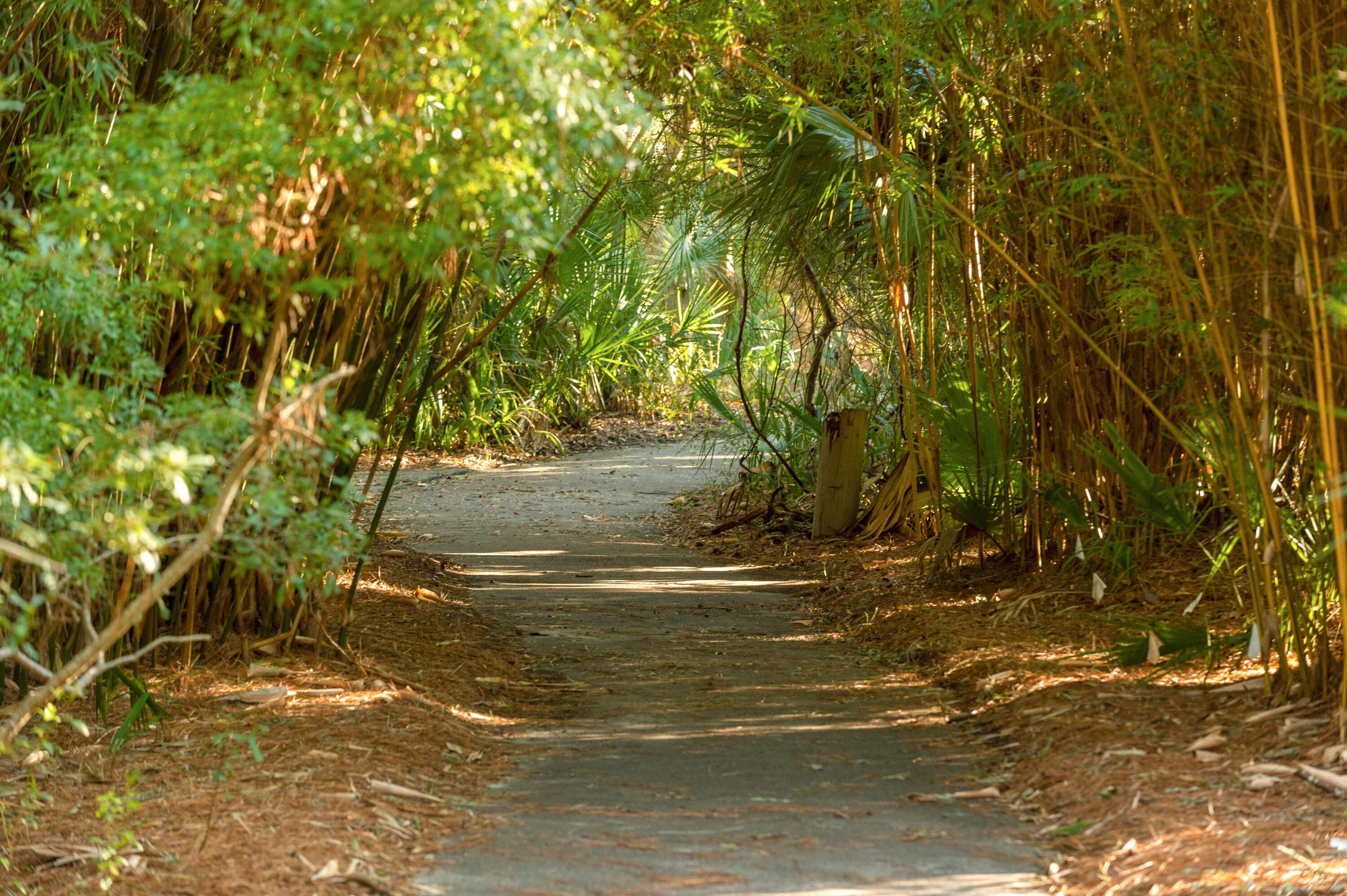 65 Surfsong Road Kiawah Island, SC 29455 - Photo 9 of 110 65 Surfsong_Low Res-30