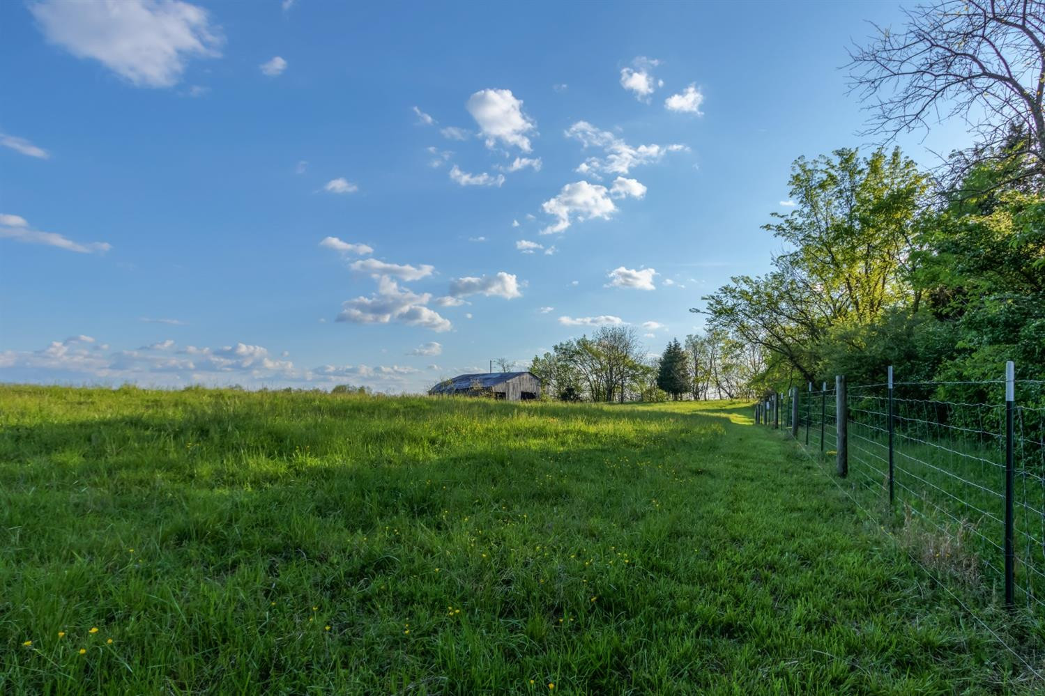 4572 Ecton Road Winchester, KY 40391 - Photo 50 of 69 Photo 50