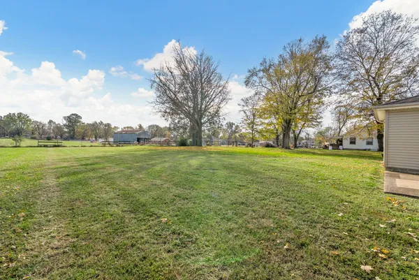 a view of a field with an trees