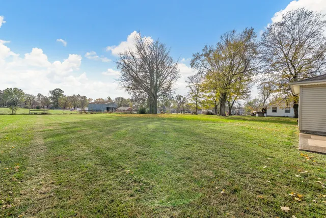 a view of a field with an trees