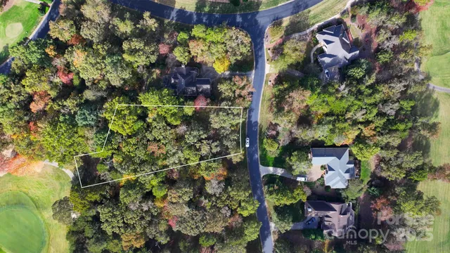 a picture of flowers