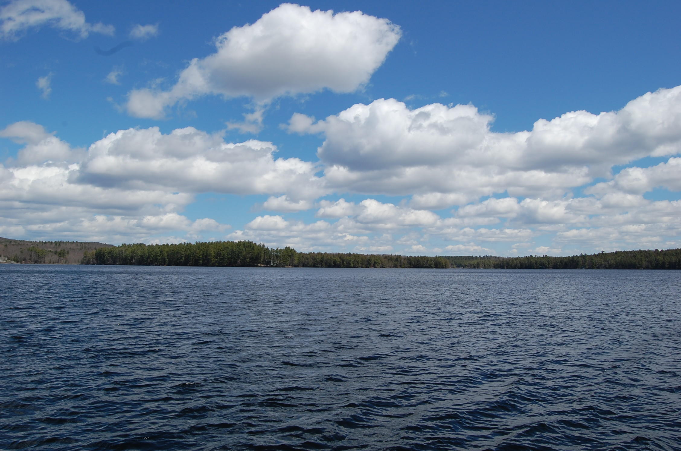 230 Porcupine Ridge Road Mount Vernon, ME 04352 - Photo 53 of 62 DSC_7699