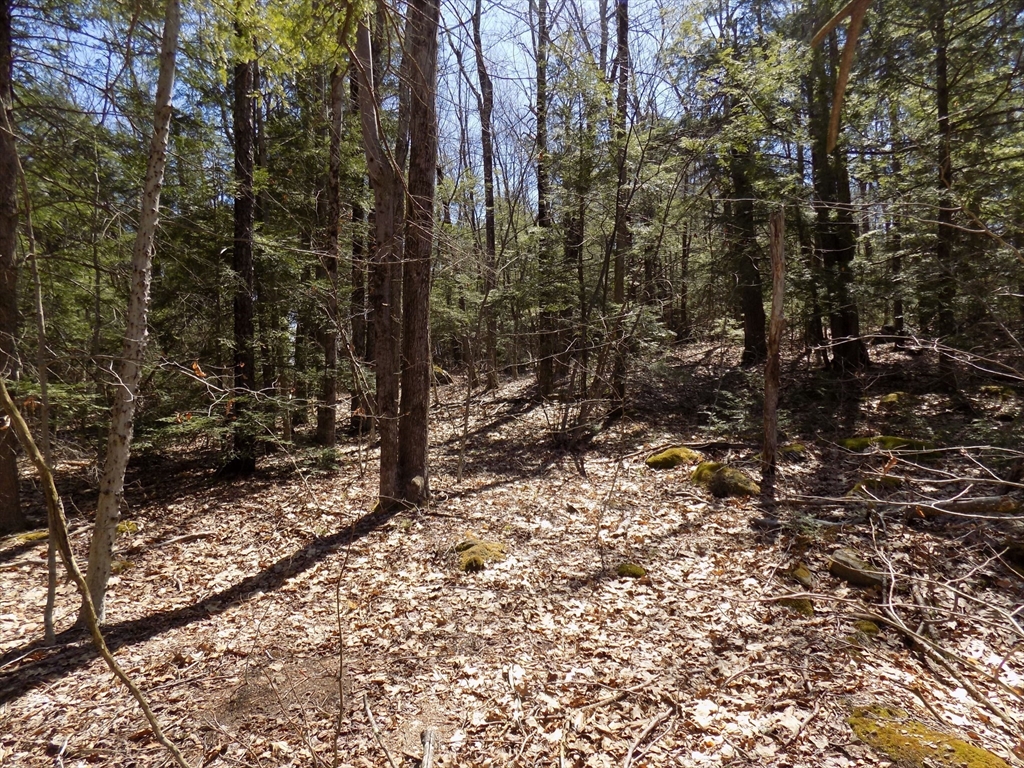 Lot 7 Skyline Ridge Road Becket, MA 01223 - Photo 6 of 14