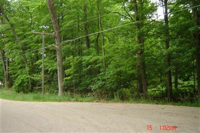Indian Bay Road, Unit V/L Montague, MI 49437 - Photo 4 of 8 Additional Photo
