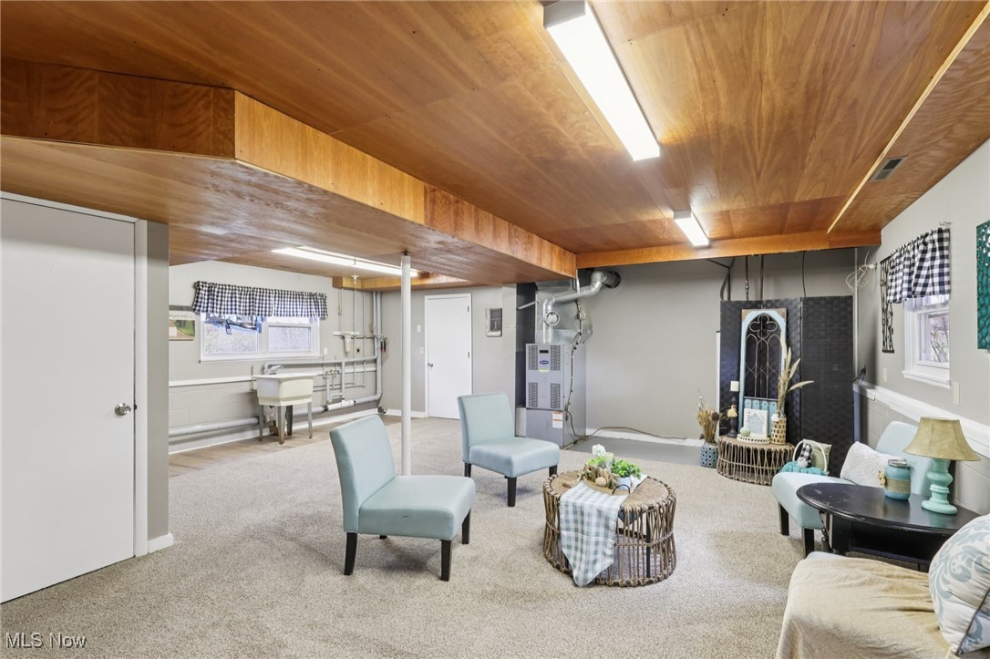 6370 Trumbull Road Geneva, OH 44041 - Photo 13 of 50 Living room featuring carpet, wood ceiling, and heating unit