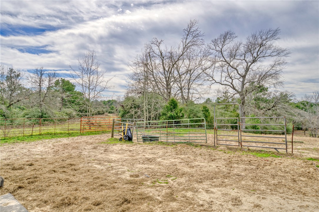 4404 County Road 151 Centerville, TX 75833 - Photo 37 of 48 a view of a park with large trees