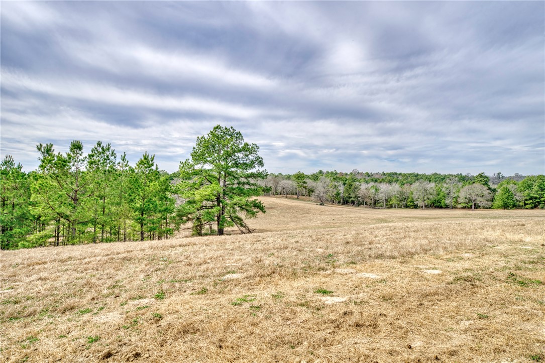4404 County Road 151 Centerville, TX 75833 - Photo 40 of 48 a view of an outdoor space and a yard