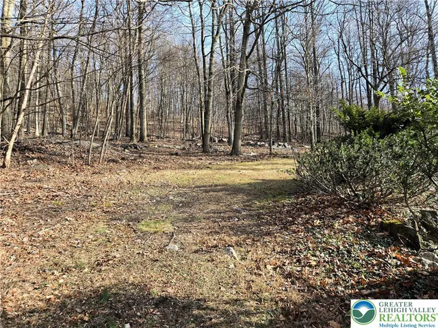 a view of a yard with trees