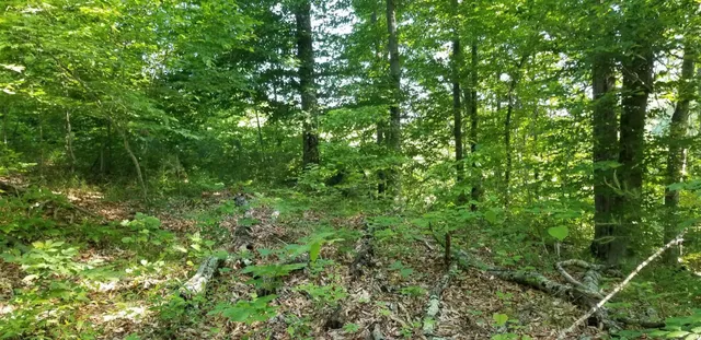 $70,000 | 0 Indian Summer Lane, Ferrum, VA 24088