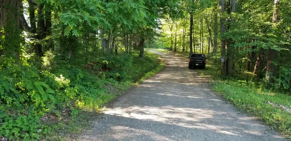 a view of backyard with table and chairs and potted plants
