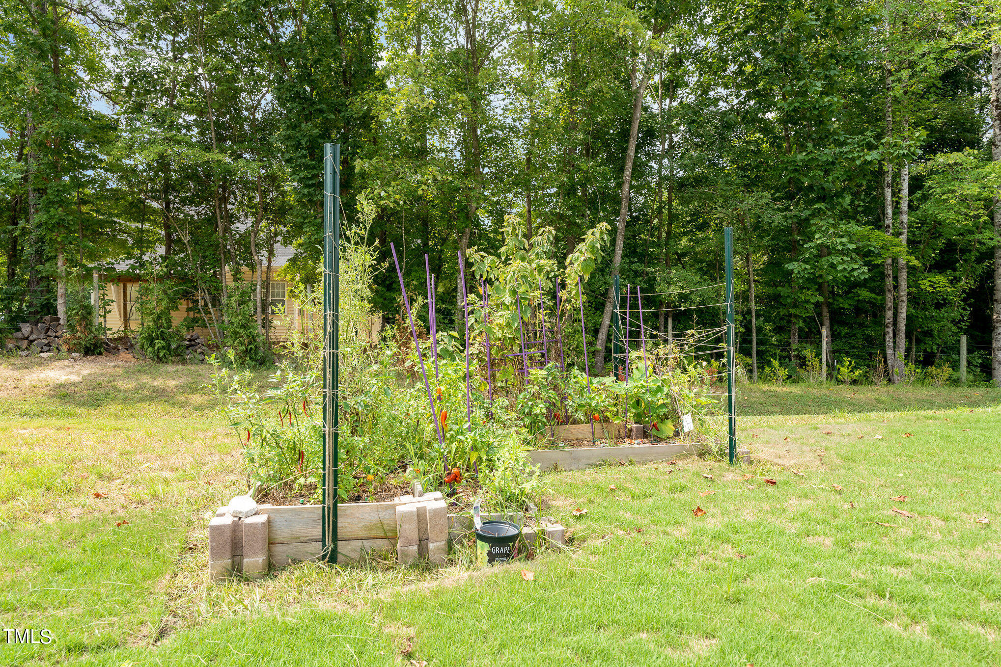15 New Spring Way Franklinton, NC 27525 - Photo 38 of 41 a backyard of a house with table and chairs