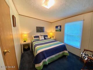 314 Straits Road Beaufort, NC 28516 - Photo 13 of 19