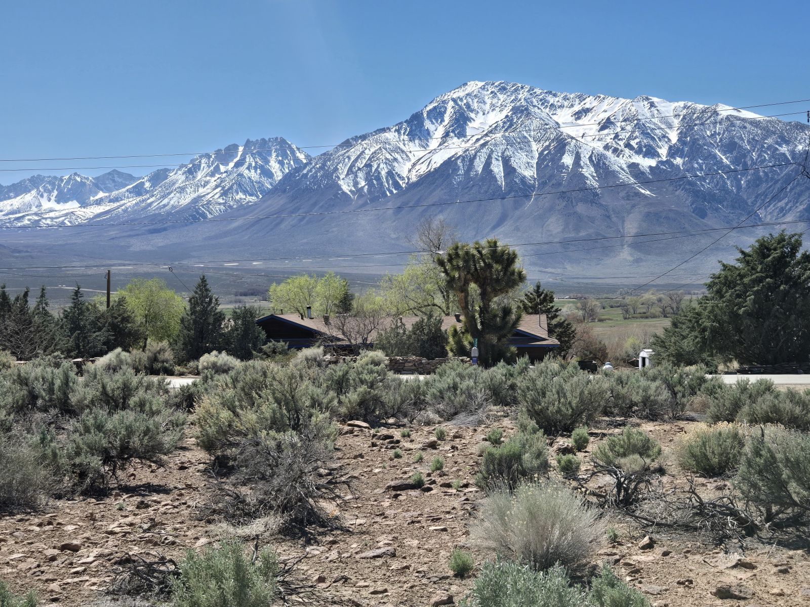 206 Del Monte Road Bishop, CA 93514 - Photo 5 of 6 Vacant Land with Mountain Views