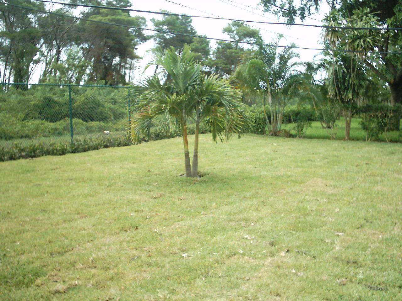 2807 Albatross Road Delray Beach, FL 33444 - Photo 14 of 16 IMG_0008