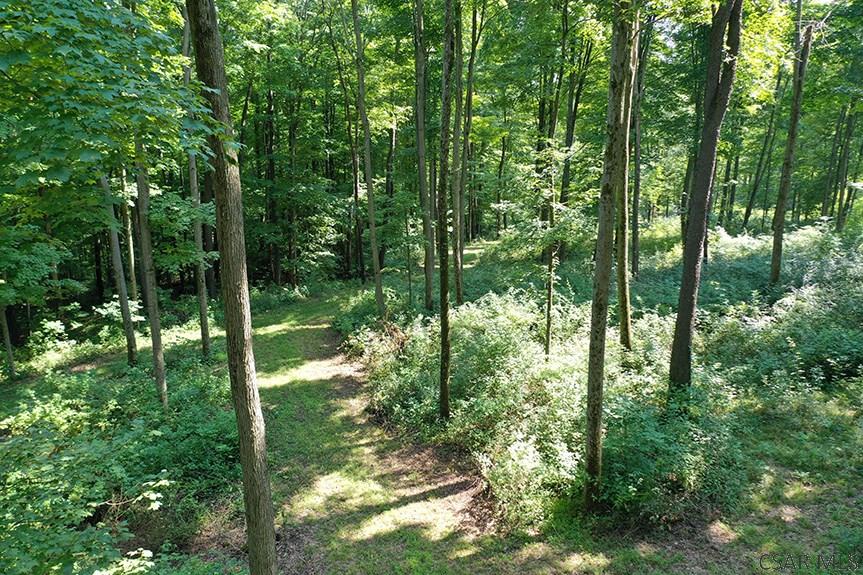 Ridge Road Rockwood, PA 15557 - Photo 8 of 22