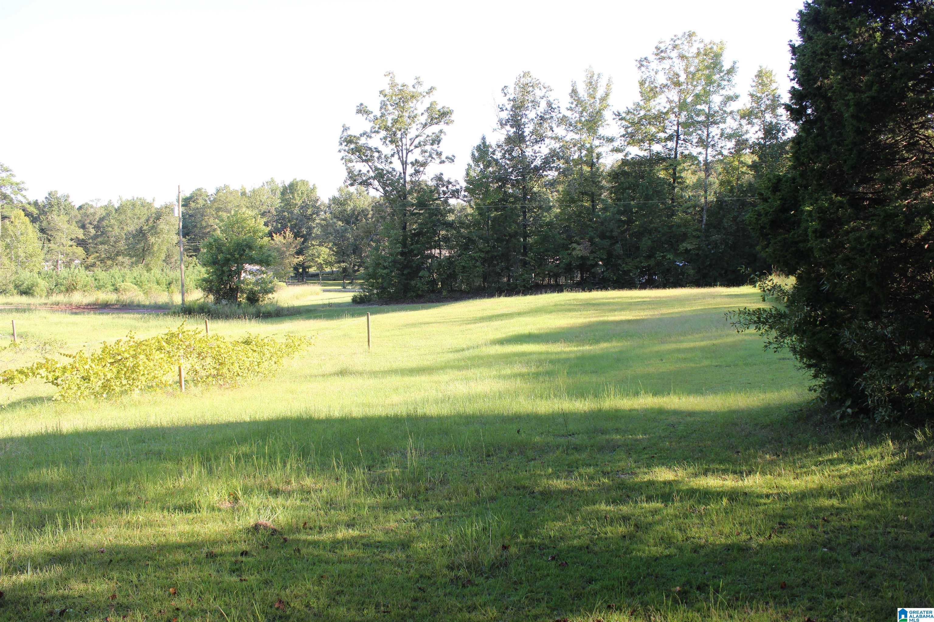 6811 Lou George Loop, Unit LOT 3 Bessemer, AL 35022 - Photo 1 of 3