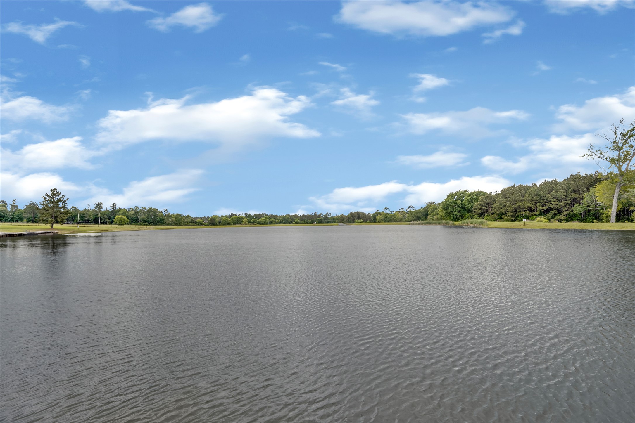 10681 Ruger Road Willis, TX 77378 - Photo 10 of 15 Fishing pond