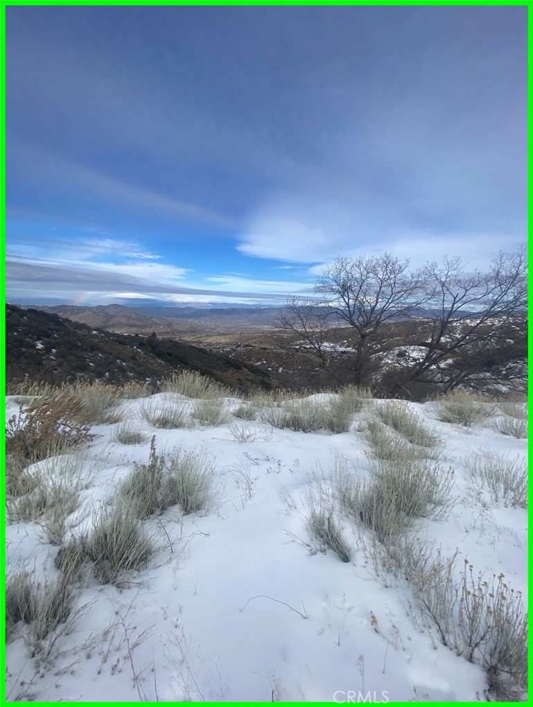 23601 Gotthard Place Tehachapi, CA 93561 - Photo 12 of 17 a view of a dry yard