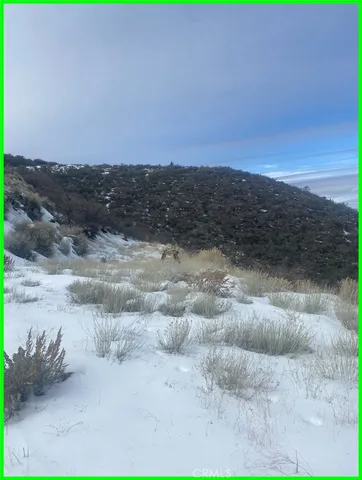 $7,950 | 23601 Gotthard Place, Tehachapi, CA 93561