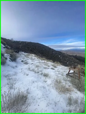 a view of a yard with an outdoor space