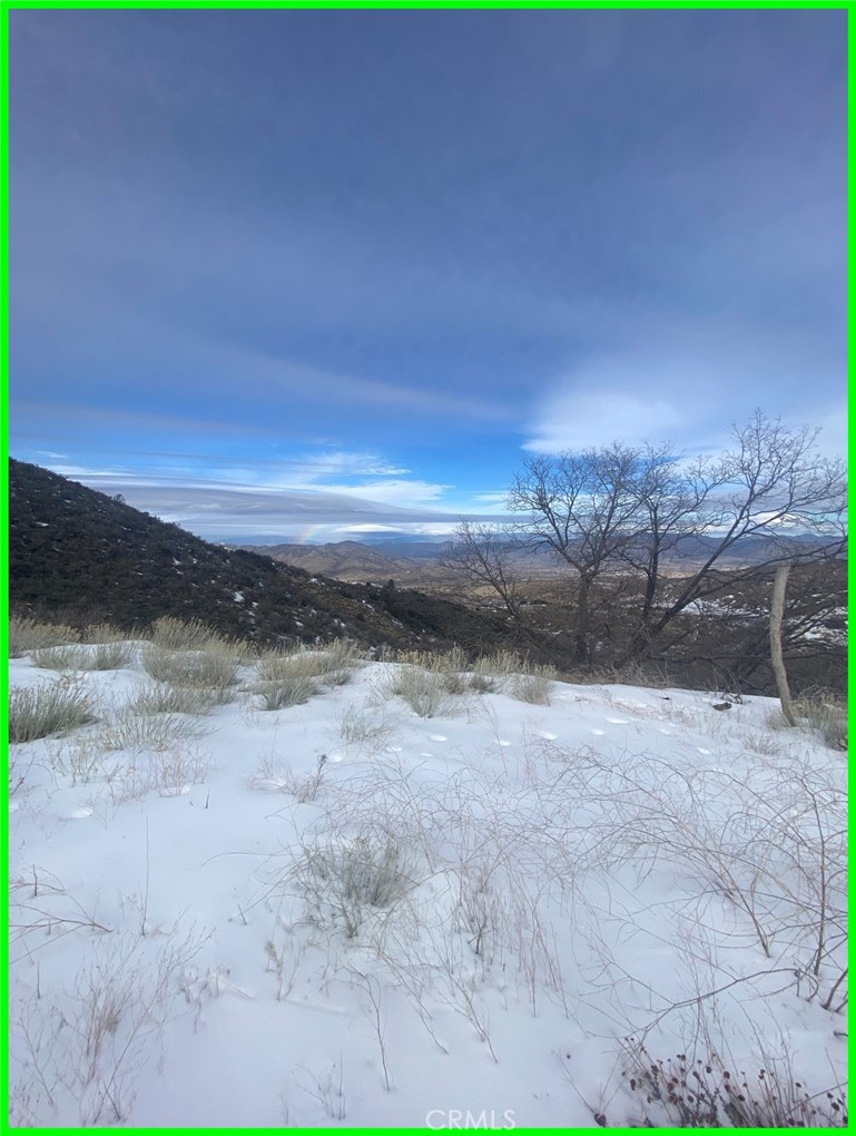 23601 Gotthard Place Tehachapi, CA 93561 - Photo 7 of 17 a view of a yard with an outdoor space