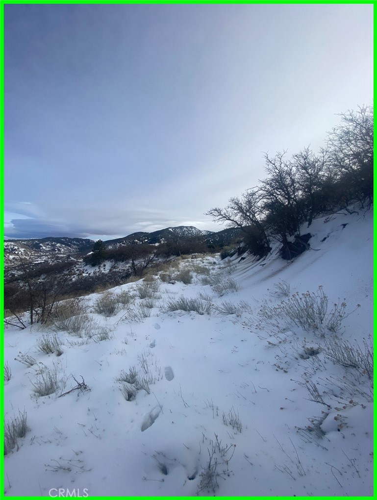 23601 Gotthard Place Tehachapi, CA 93561 - Photo 8 of 17 a view of dirt field with trees in the background