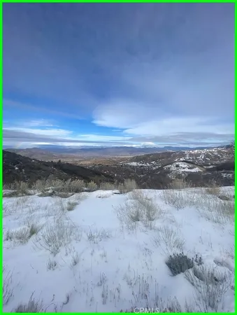 a view of a dry yard