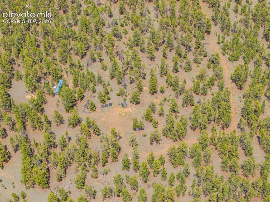 4250 Doe Valley Road Guffey, CO 80820 - Photo 11 of 35 Potential building site.