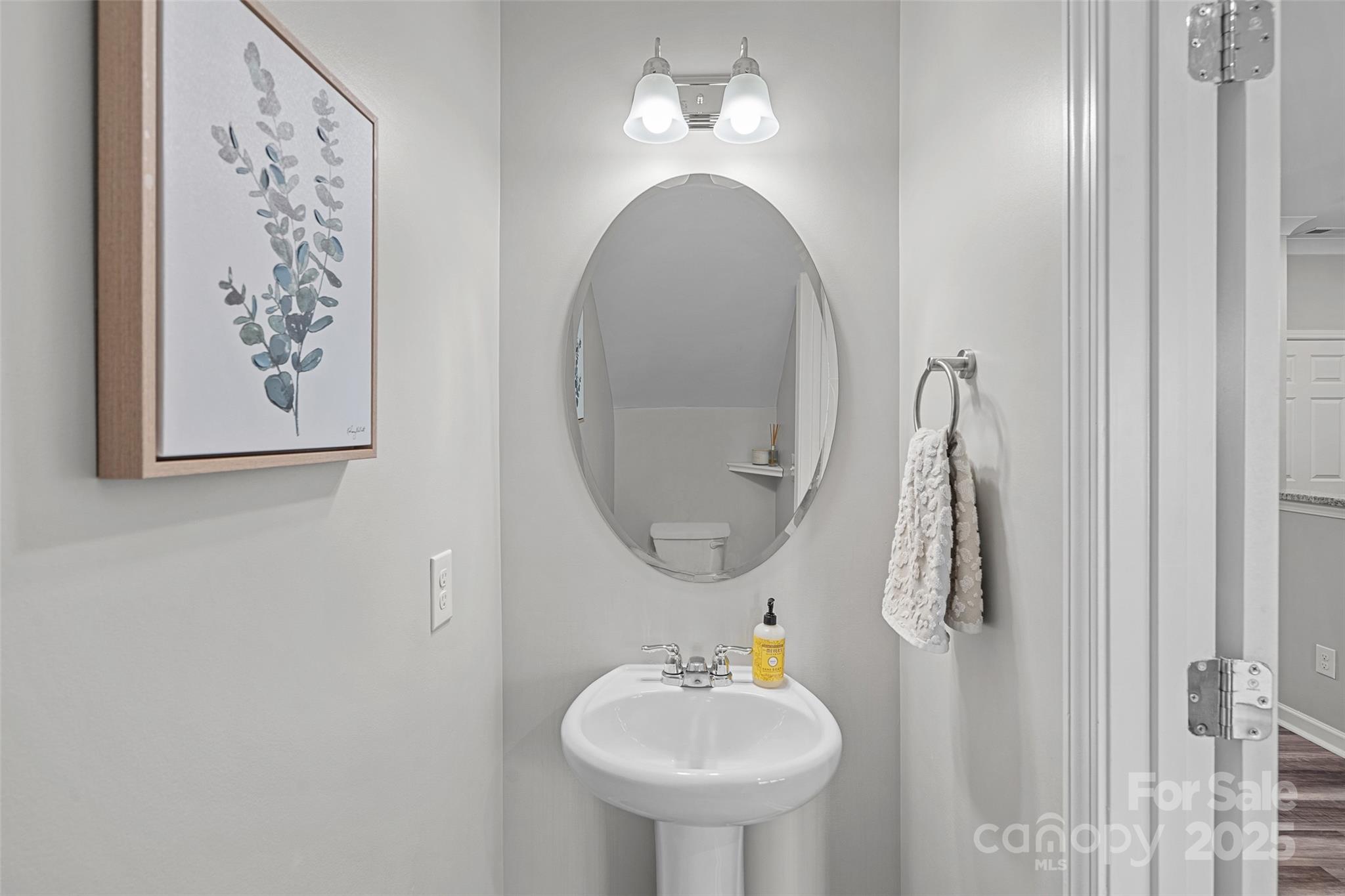 816 Canoe Song Road Fort Mill, SC 29708 - Photo 20 of 26 a bathroom with a sink and a mirror