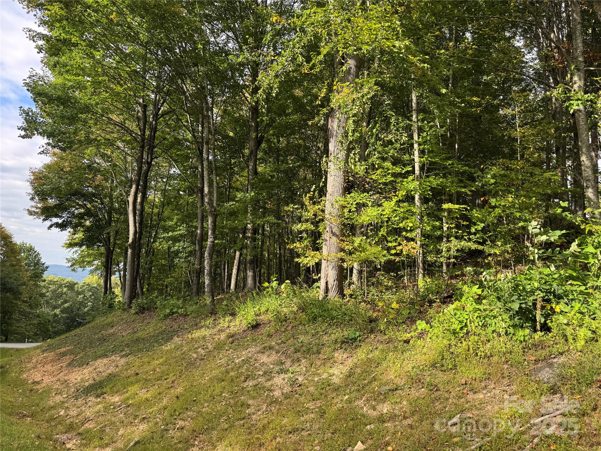 Tbd Bear Paw Road, Unit 15 Elk Park, NC 28622 - Photo 11 of 19 a big yard with lots of green space and trees
