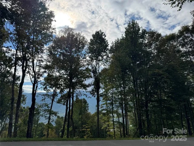 a view of mountain view with lots of trees