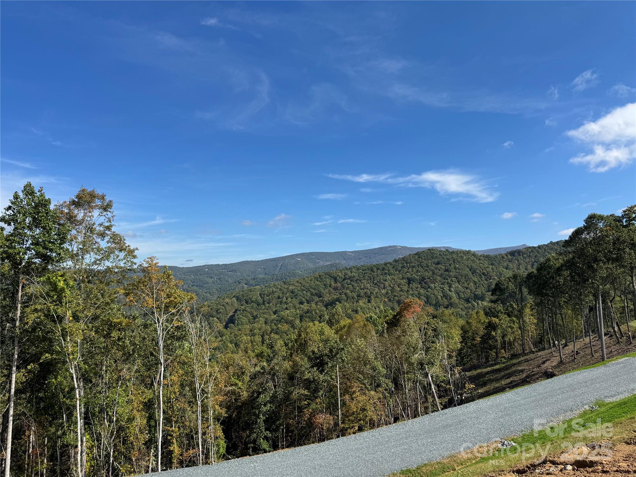 Tbd Bear Paw Road, Unit 15 Elk Park, NC 28622 - Photo 18 of 19 a view of a city with lush green forest