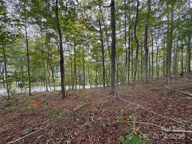 a view of outdoor space with trees