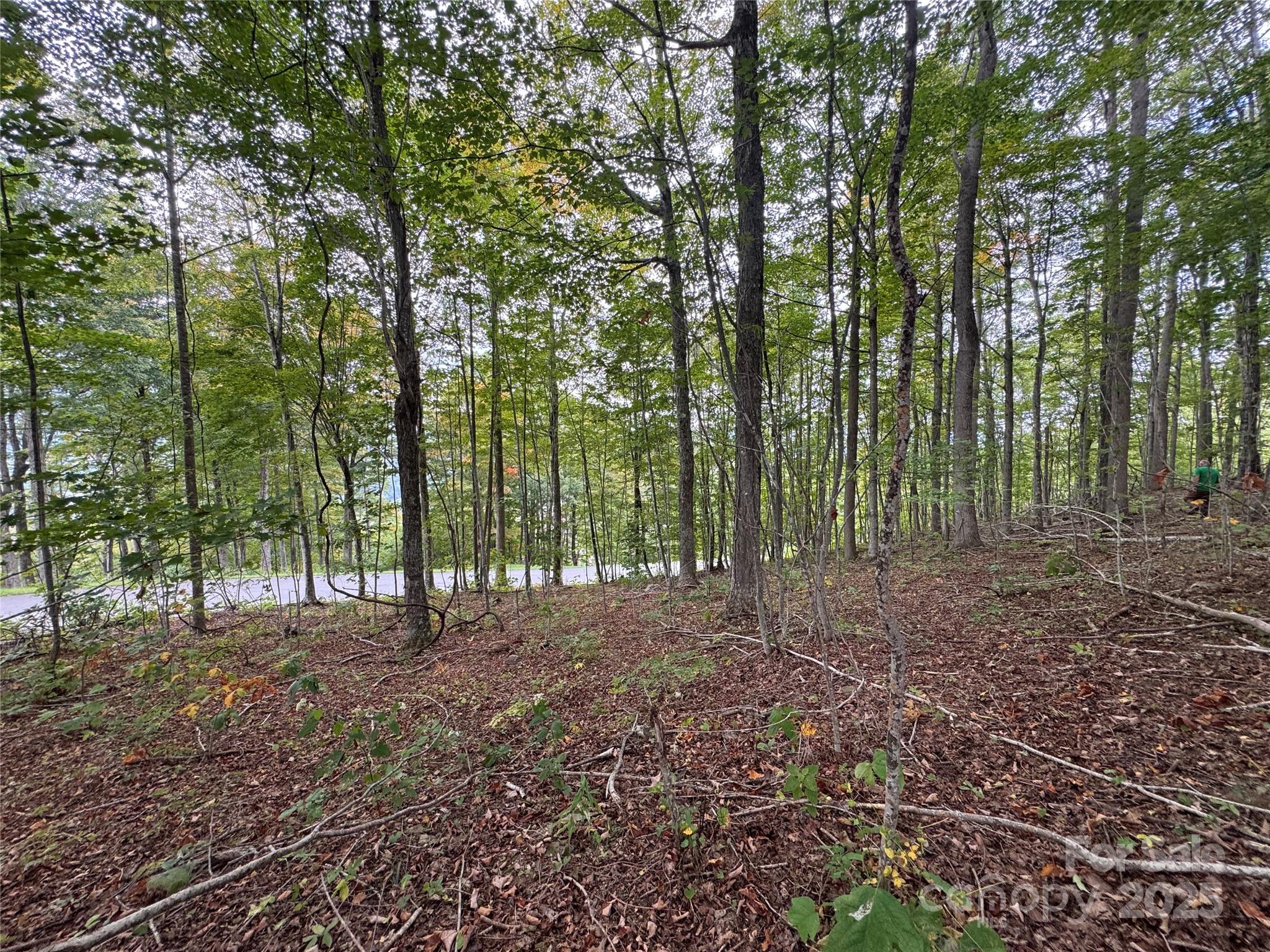 Tbd Bear Paw Road, Unit 15 Elk Park, NC 28622 - Photo 4 of 19 a view of outdoor space with trees