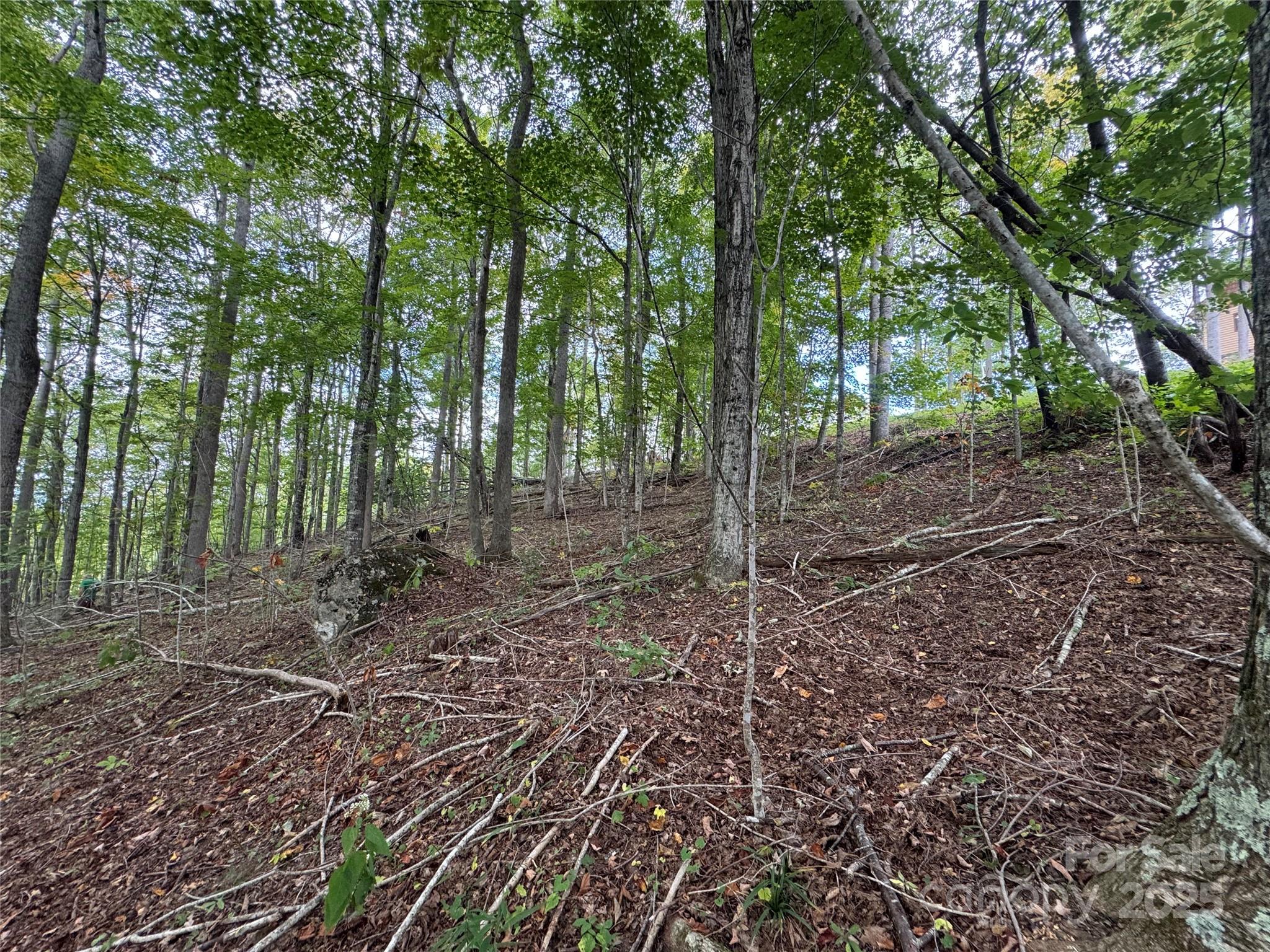 Tbd Bear Paw Road, Unit 15 Elk Park, NC 28622 - Photo 5 of 19 a view of a yard with lots of trees
