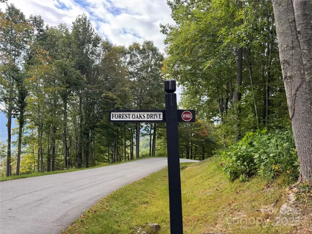 a sign board with tall trees